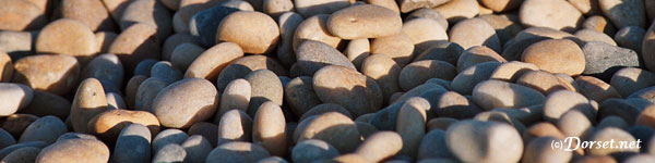 Chesil Beach stones